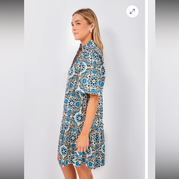 Tuckernuck Golden Medallion Crawford Dress - Picture 2 of 7